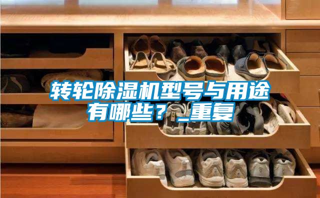 轉輪除濕機型號與用途有哪些？_重復