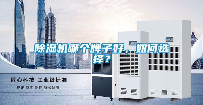 除濕機(jī)哪個牌子好，如何選擇？