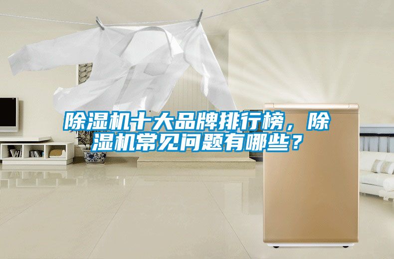 除濕機(jī)十大品牌排行榜，除濕機(jī)常見問題有哪些？