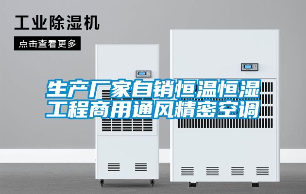 生產廠家自銷恒溫恒濕工程商用通風精密空調