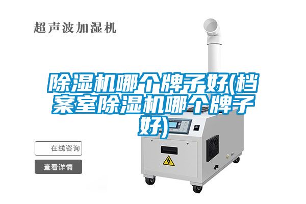除濕機哪個牌子好(檔案室除濕機哪個牌子好)