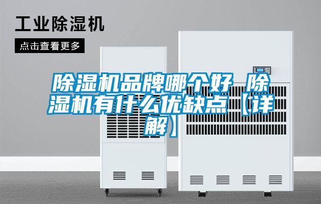 除濕機品牌哪個好 除濕機有什么優(yōu)缺點【詳解】