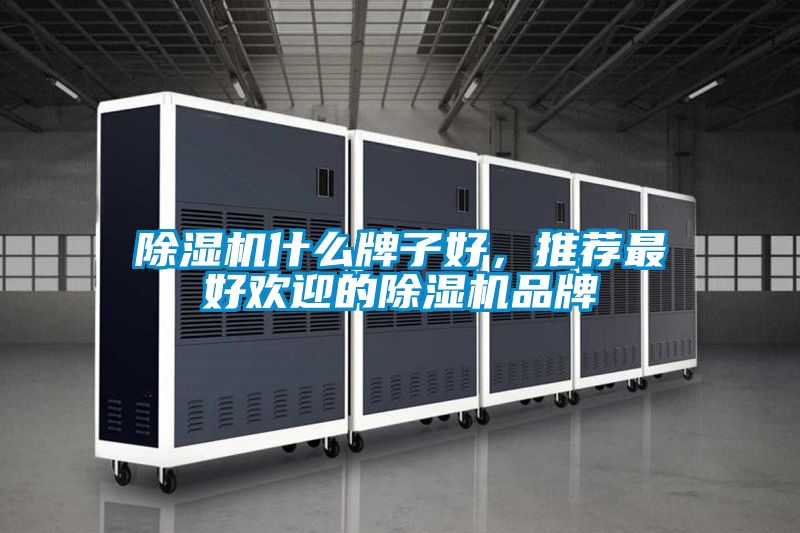 除濕機什么牌子好，推薦最好歡迎的除濕機品牌