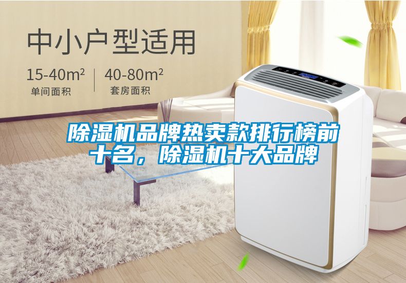 除濕機品牌熱賣款排行榜前十名，除濕機十大品牌