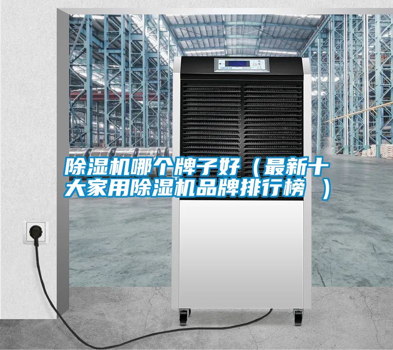 除濕機(jī)哪個牌子好（最新十大家用除濕機(jī)品牌排行榜 ）