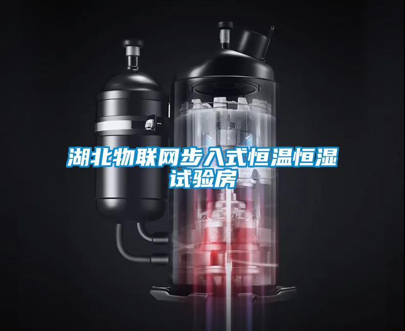 湖北物聯網步入式恒溫恒濕試驗房