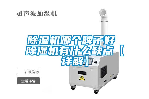 除濕機(jī)哪個牌子好 除濕機(jī)有什么缺點【詳解】