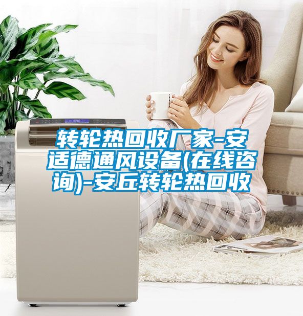 轉輪熱回收廠家-安適德通風設備(在線咨詢)-安丘轉輪熱回收