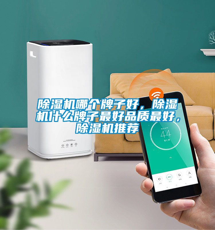 除濕機哪個牌子好，除濕機什么牌子最好品質最好，除濕機推薦