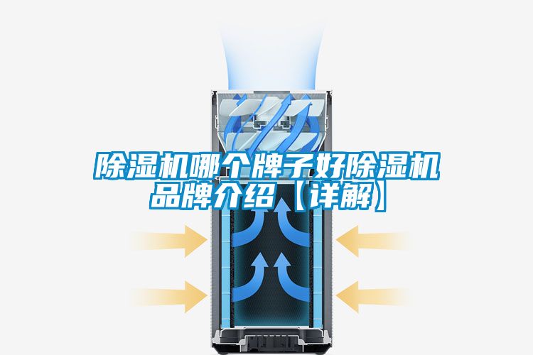 除濕機哪個牌子好除濕機品牌介紹【詳解】