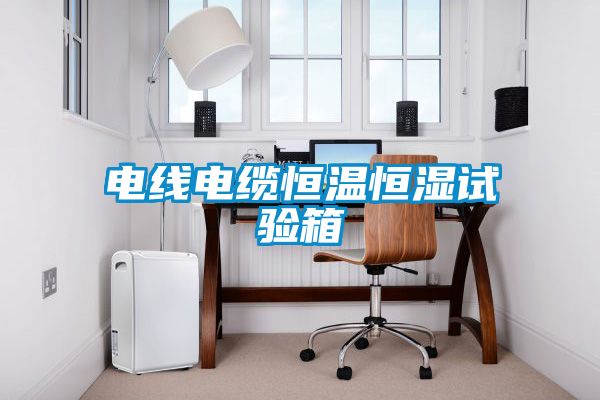 電線電纜恒溫恒濕試驗(yàn)箱