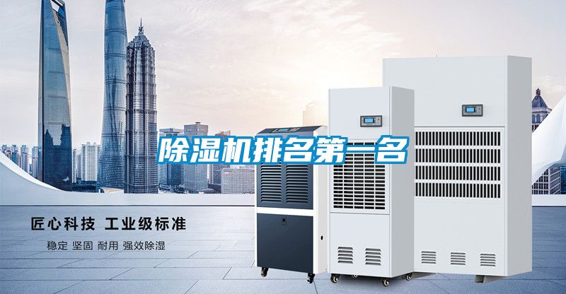 除濕機(jī)排名第一名