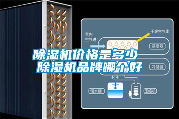 除濕機價格是多少 除濕機品牌哪個好