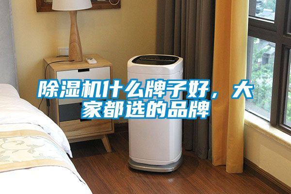 除濕機什么牌子好，大家都選的品牌