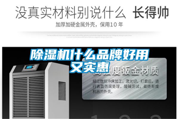 除濕機(jī)什么品牌好用又實(shí)惠