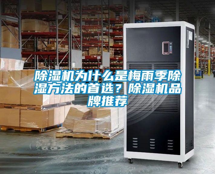 除濕機為什么是梅雨季除濕方法的首選？除濕機品牌推薦