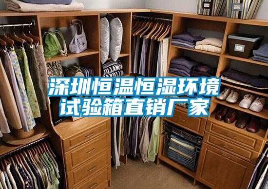 深圳恒溫恒濕環(huán)境試驗(yàn)箱直銷廠家