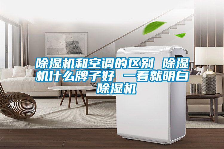 除濕機和空調(diào)的區(qū)別 除濕機什么牌子好 一看就明白 除濕機