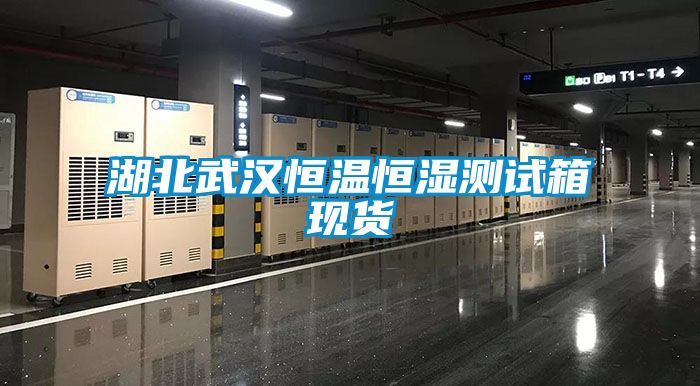 湖北武漢恒溫恒濕測試箱現貨