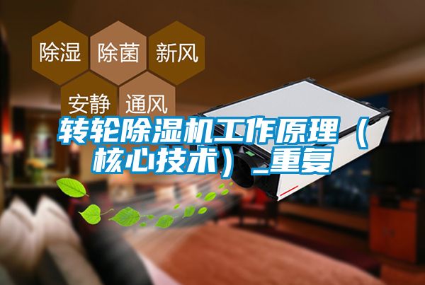轉(zhuǎn)輪除濕機工作原理（核心技術(shù)）_重復(fù)