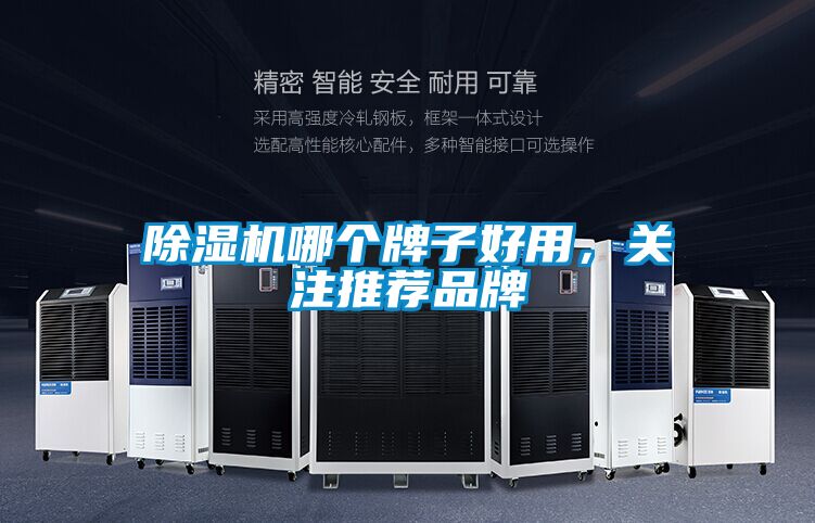 除濕機哪個牌子好用，關注推薦品牌