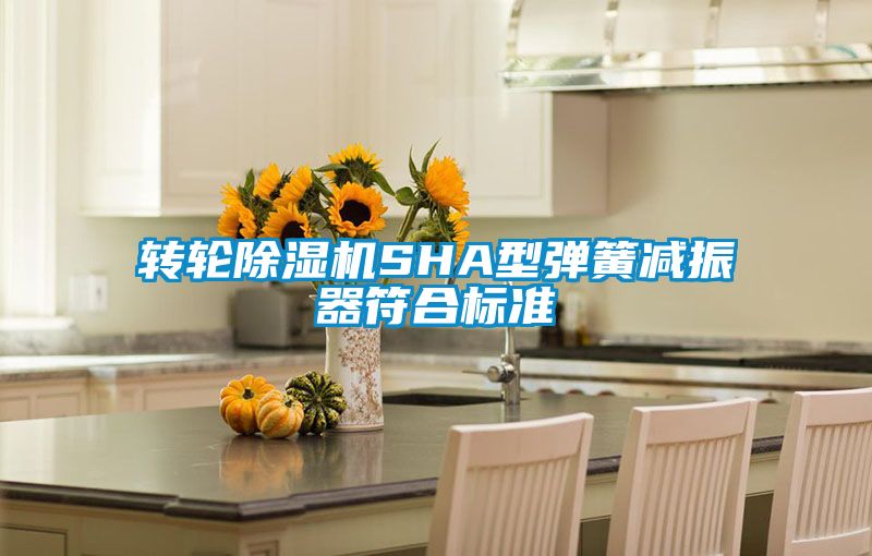 轉(zhuǎn)輪除濕機SHA型彈簧減振器符合標準