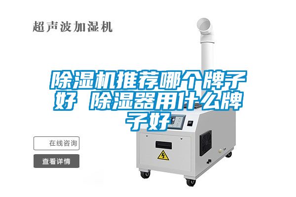 除濕機推薦哪個牌子好 除濕器用什么牌子好