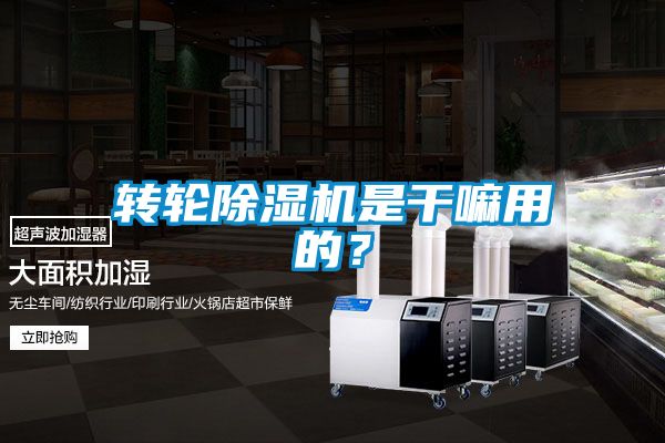 轉輪除濕機是干嘛用的？