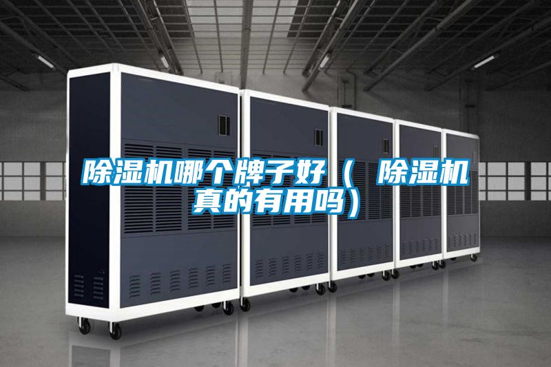 除濕機哪個牌子好（ 除濕機真的有用嗎）