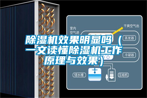 除濕機(jī)效果明顯嗎（一文讀懂除濕機(jī)工作原理與效果）