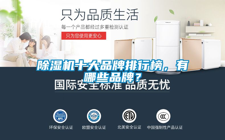 除濕機十大品牌排行榜，有哪些品牌？