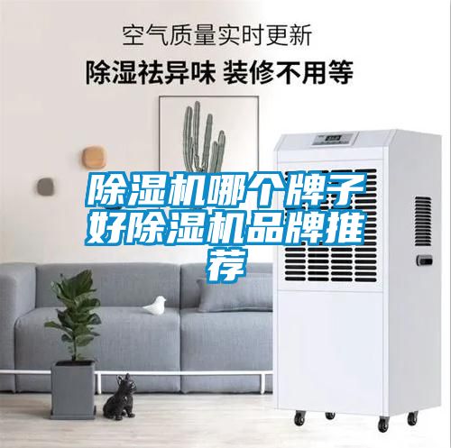 除濕機哪個牌子好除濕機品牌推薦
