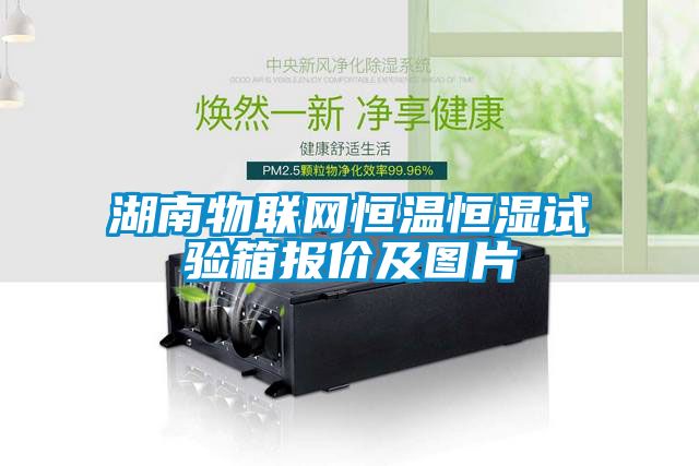 湖南物聯網恒溫恒濕試驗箱報價及圖片