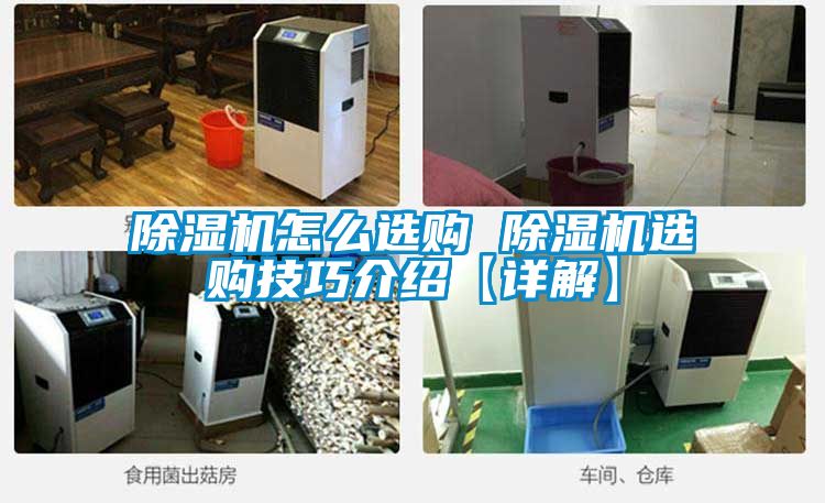 除濕機(jī)怎么選購 除濕機(jī)選購技巧介紹【詳解】