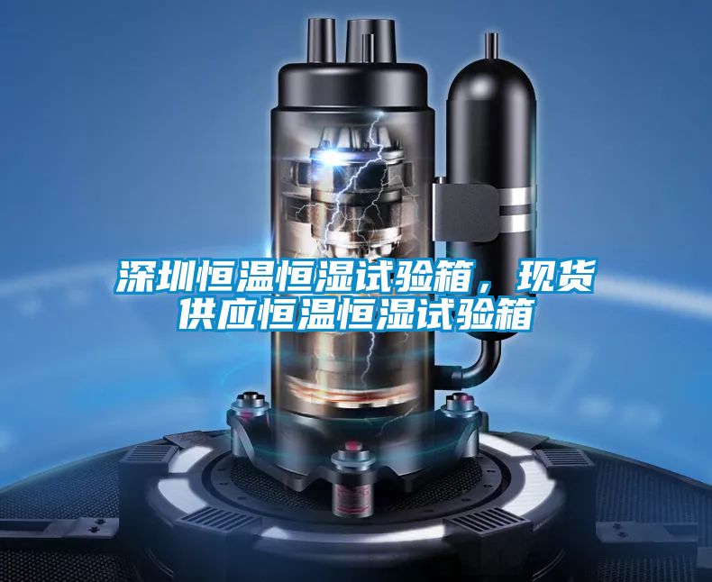 深圳恒溫恒濕試驗箱，現貨供應恒溫恒濕試驗箱