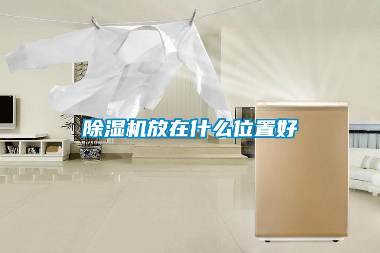 除濕機放在什么位置好