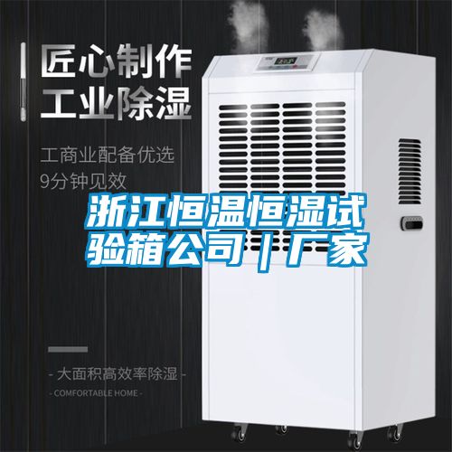 浙江恒溫恒濕試驗箱公司｜廠家