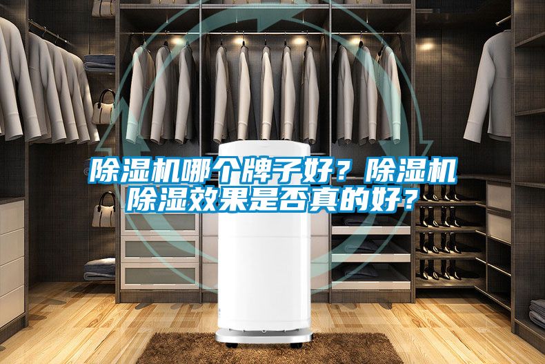 除濕機哪個牌子好？除濕機除濕效果是否真的好？