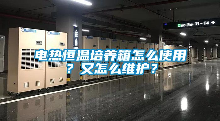 電熱恒溫培養箱怎么使用？又怎么維護？