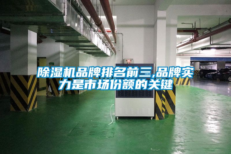 除濕機品牌排名前三,品牌實力是市場份額的關鍵