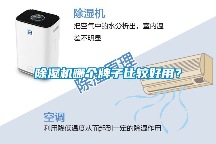 除濕機哪個牌子比較好用？