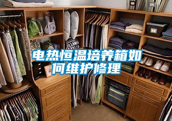 電熱恒溫培養箱如何維護修理