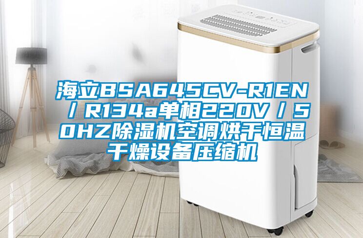 海立BSA645CV-R1EN／R134a單相220V／50HZ除濕機空調烘干恒溫干燥設備壓縮機