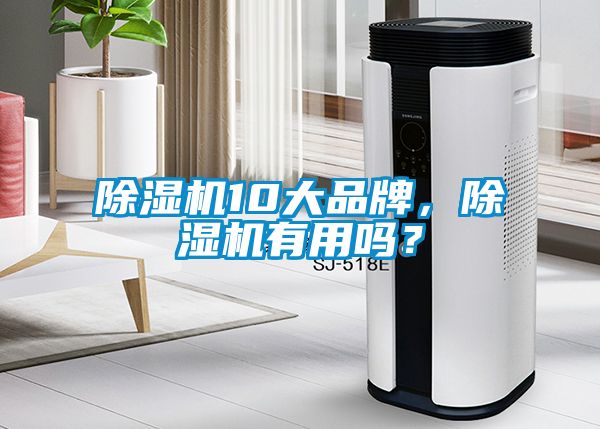 除濕機(jī)10大品牌，除濕機(jī)有用嗎？