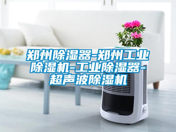 鄭州除濕器-鄭州工業除濕機-工業除濕器-超聲波除濕機