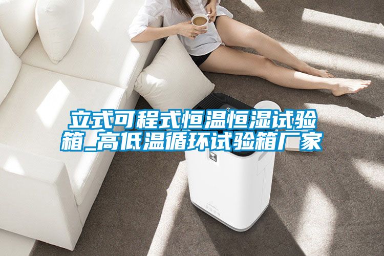 立式可程式恒溫恒濕試驗箱_高低溫循環試驗箱廠家