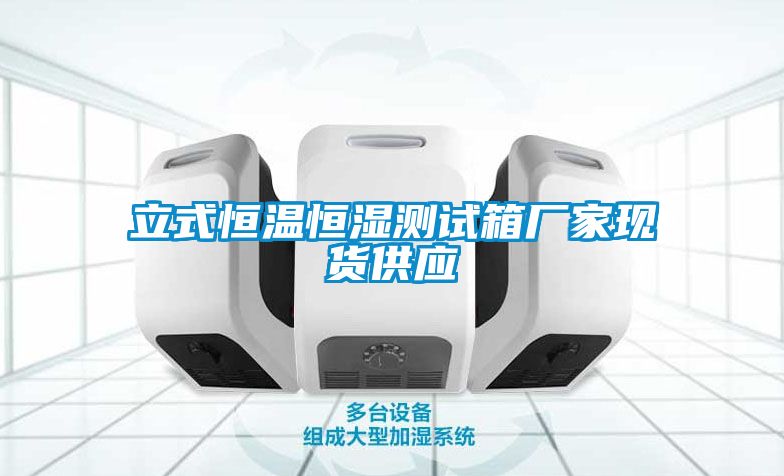 立式恒溫恒濕測試箱廠家現貨供應