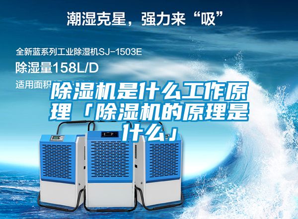 除濕機是什么工作原理「除濕機的原理是什么」