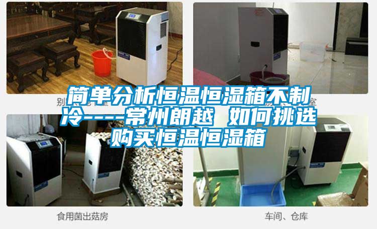 簡單分析恒溫恒濕箱不制冷----常州朗越 如何挑選購買恒溫恒濕箱
