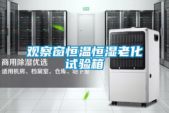 觀察窗恒溫恒濕老化試驗箱